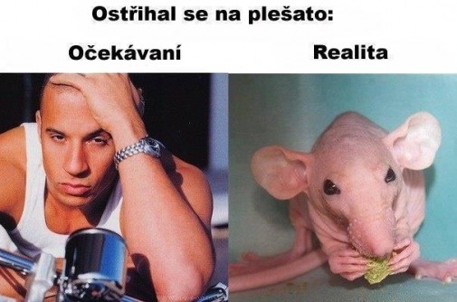 Príspevok 22276